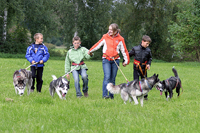 Huskies Erleben